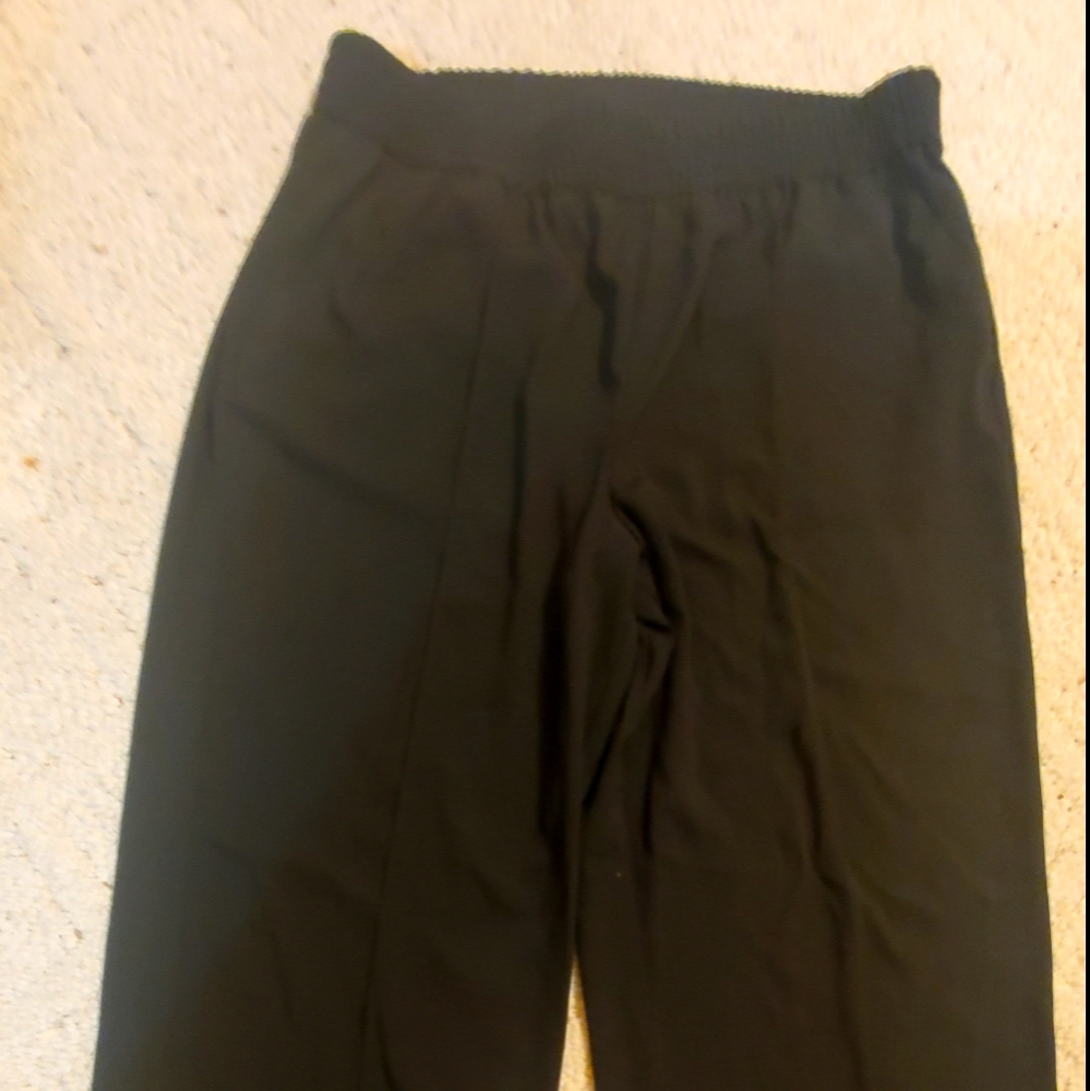 Pleated wide-leg elastic waistband business pants